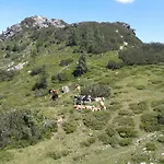 Alpenhotel Marcius 3*