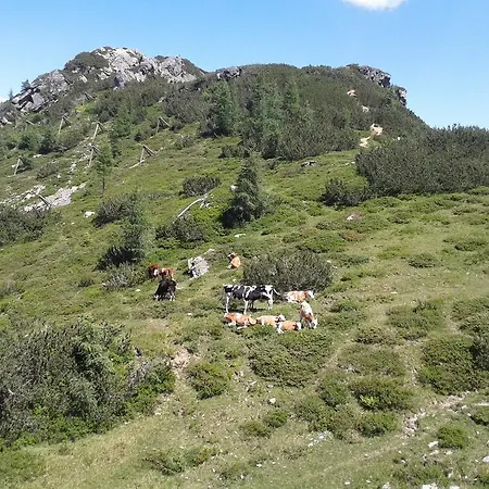 马西乌斯阿尔卑斯酒店 3*