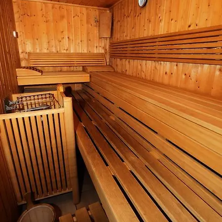 马西乌斯阿尔卑斯酒店 3*