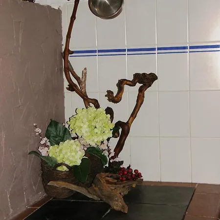 酒店 马西乌斯阿尔卑斯酒店