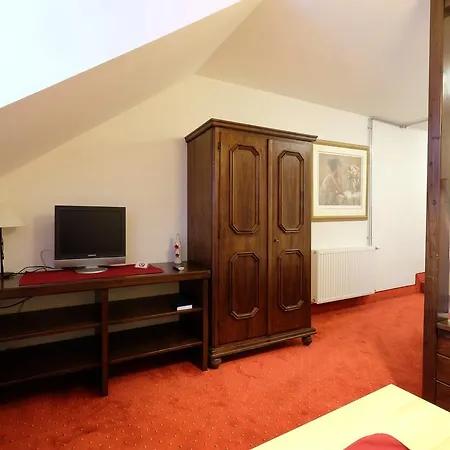 马西乌斯阿尔卑斯酒店