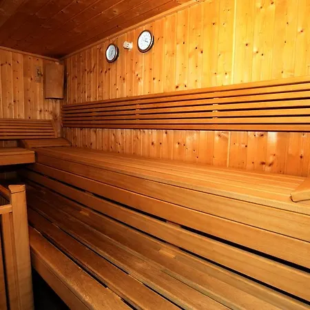 酒店 马西乌斯阿尔卑斯酒店 3*