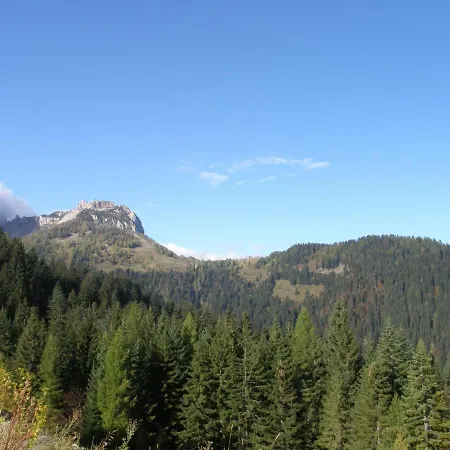 Alpenhotel Marcius Hotel