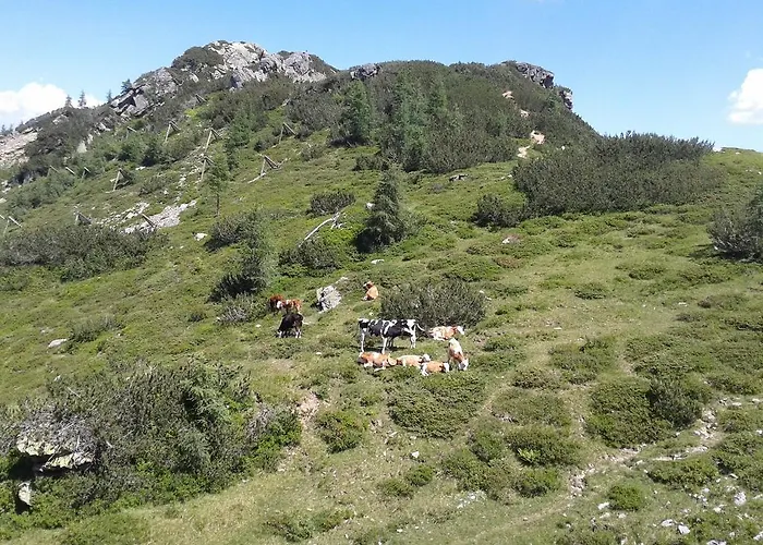 Alpenhotel Marcius 3*